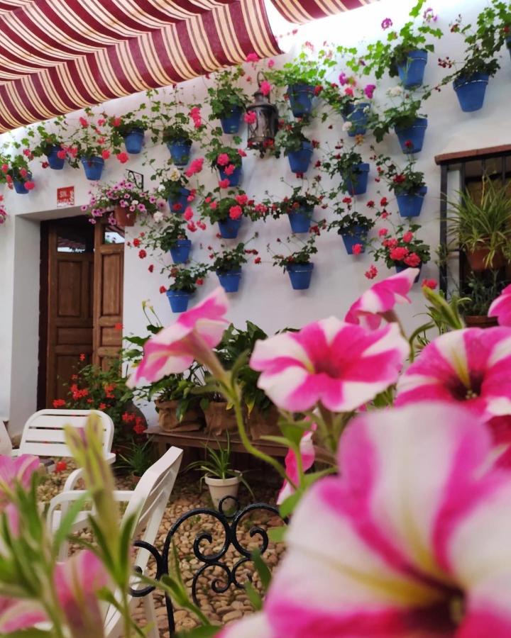 Casa Rural "Laplaza23" Herrera del Duque 외부 사진